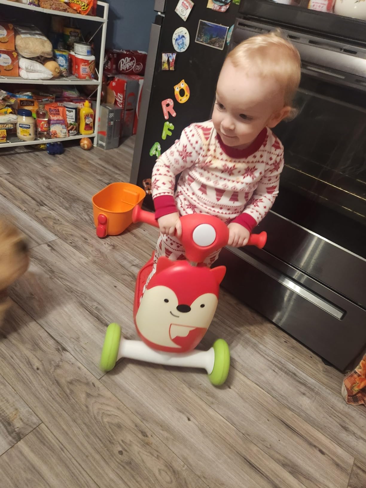 Skip Hop scooter customer photo 1