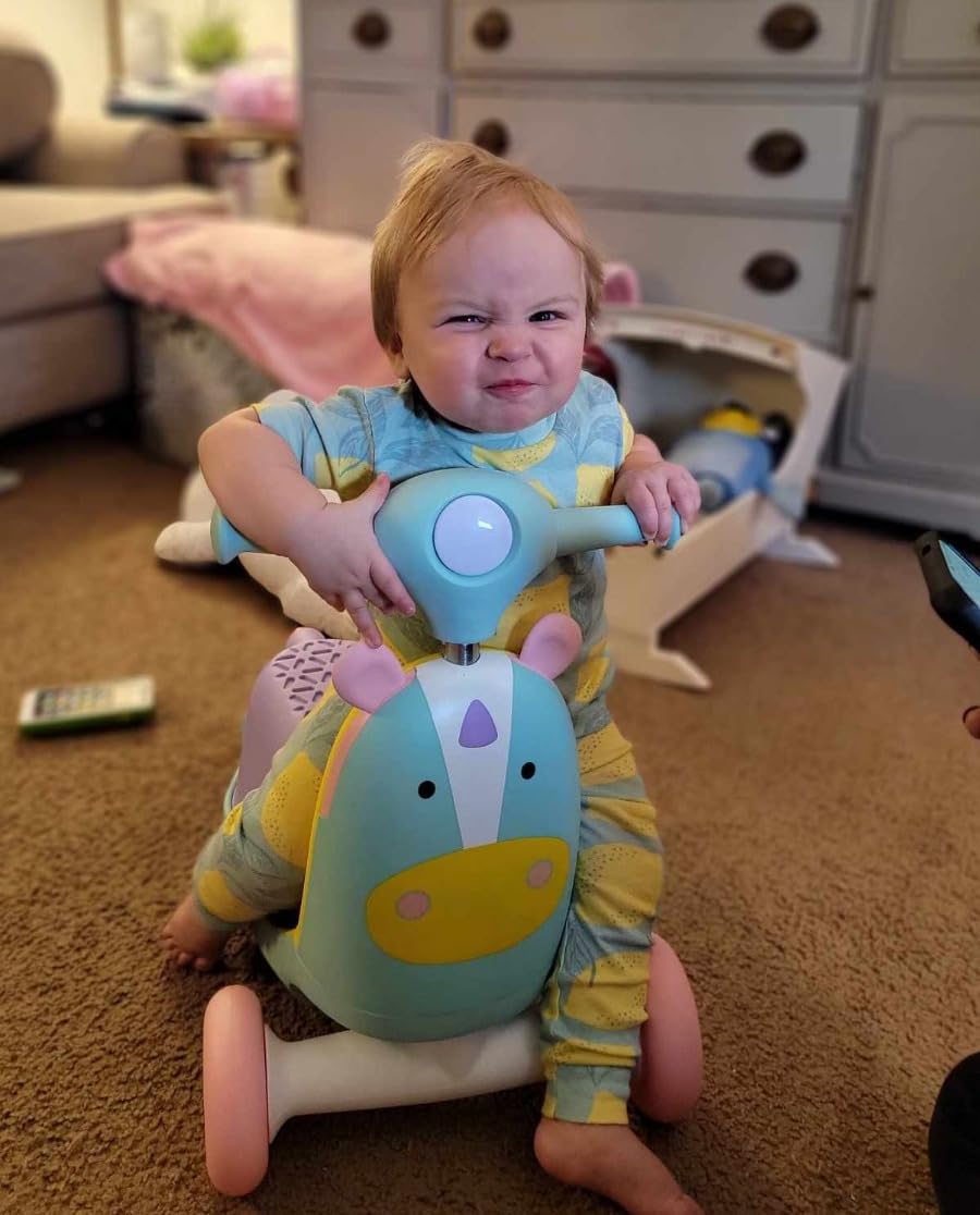 Skip Hop scooter customer photo 3