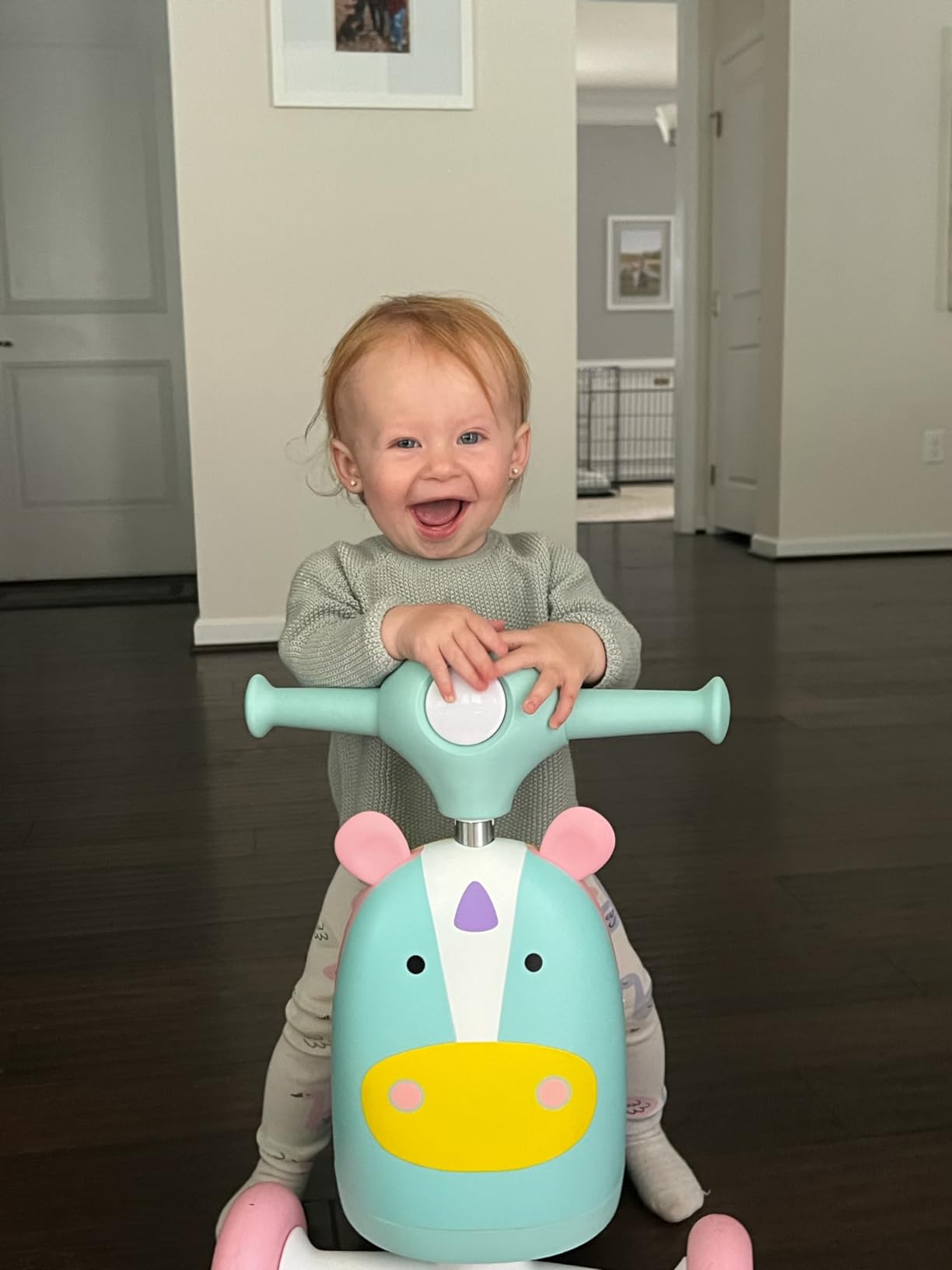 Skip Hop scooter customer photo 6